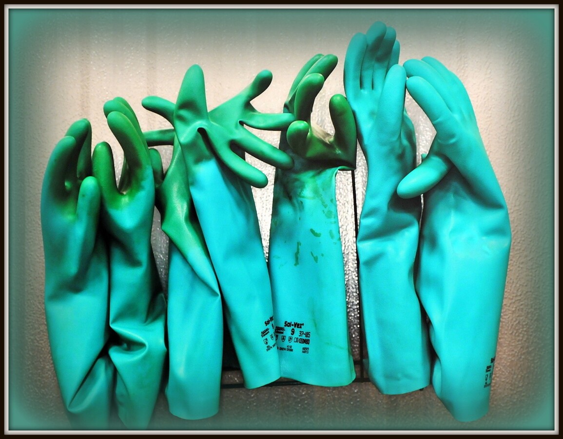 Green Fingers - Dave Edwards